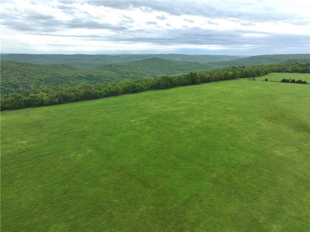 TRACT4 Antioch Rd, Canehill, AR 72717
