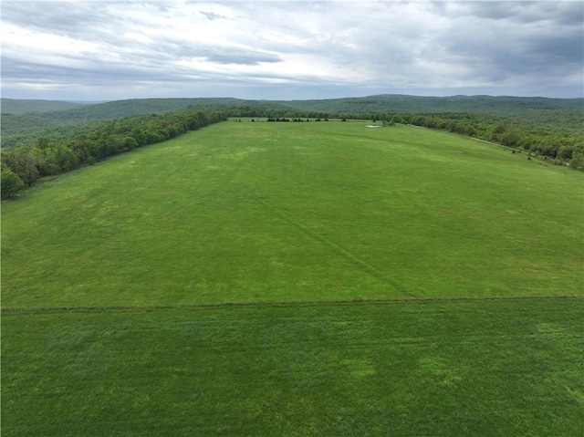 TRACT4 Antioch Rd, Canehill, AR 72717