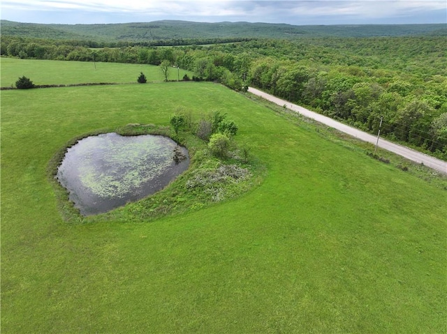 TRACT4 Antioch Rd, Canehill, AR 72717