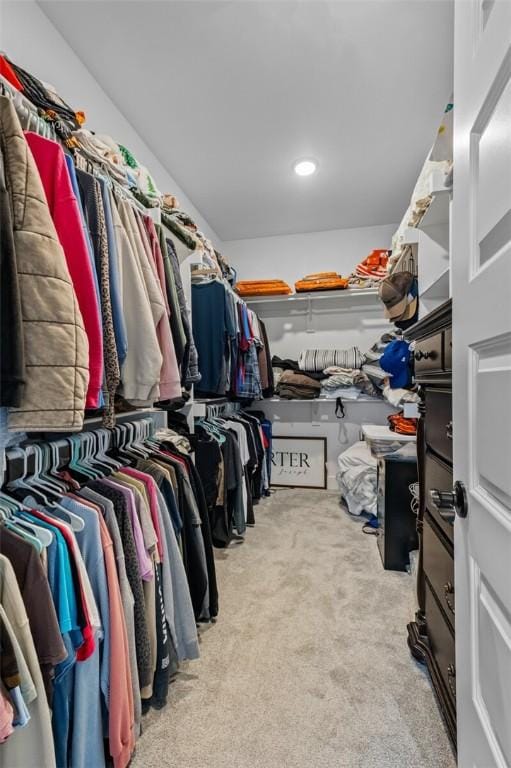 walk in closet featuring carpet