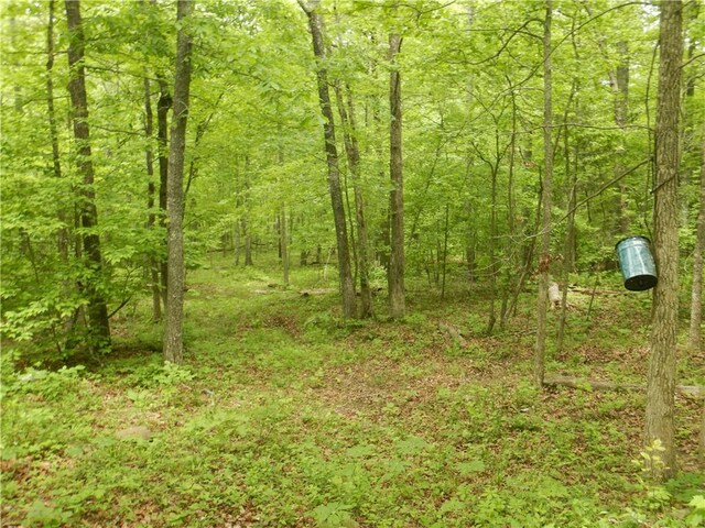 TBD Madison 2707, Kingston, AR 72742 - photo 15