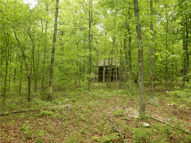 TBD Madison 2707, Kingston, AR 72742 - photo 14