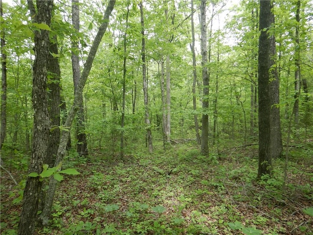 TBD Madison 2707, Kingston, AR 72742 - photo 47