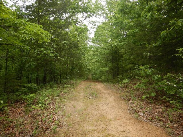 TBD Madison 2707, Kingston, AR 72742 - photo 48