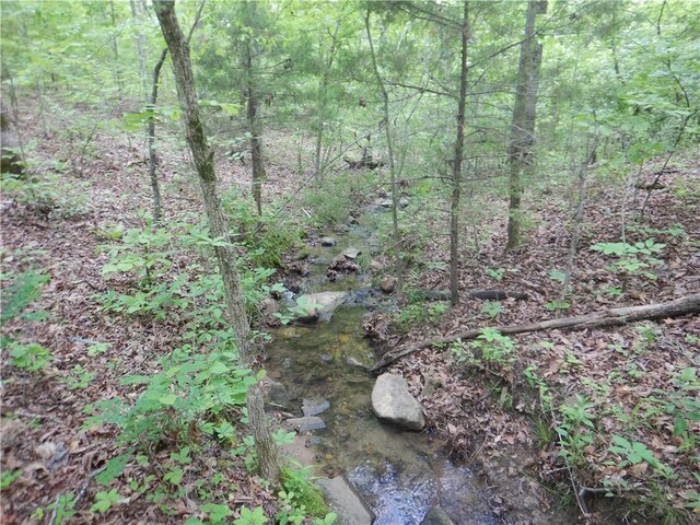 TBD Madison 2707, Kingston, AR 72742 - photo 21