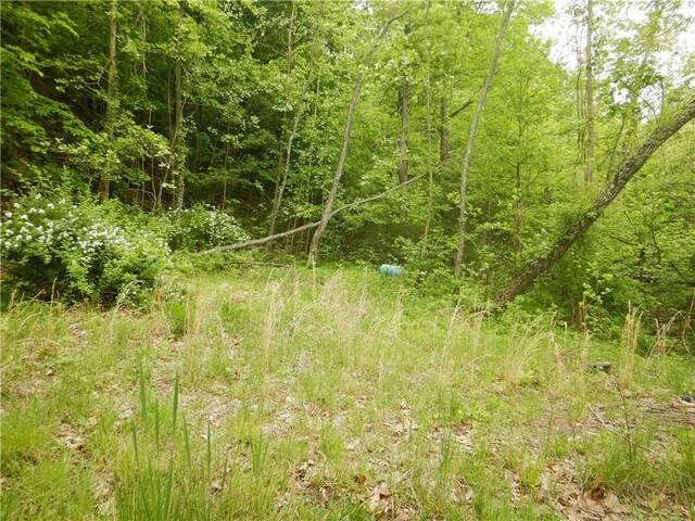 TBD Madison 2707, Kingston, AR 72742 - photo 50