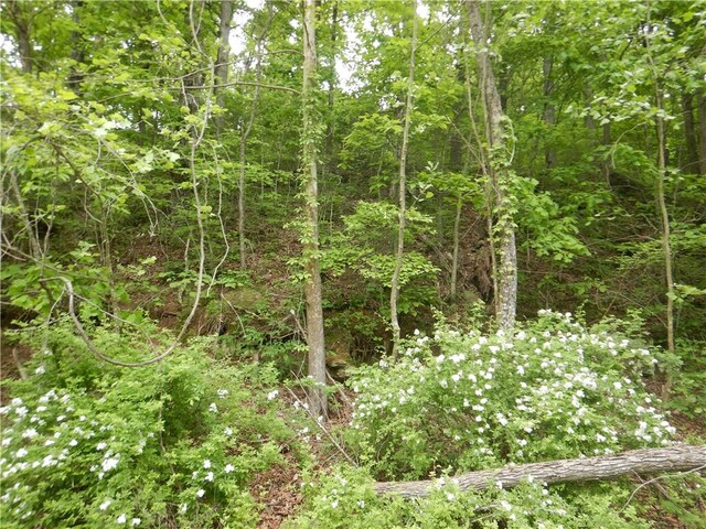 TBD Madison 2707, Kingston, AR 72742 - photo 51
