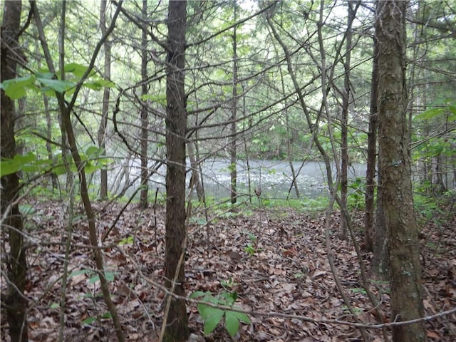 TBD Madison 2707, Kingston, AR 72742 - photo 52