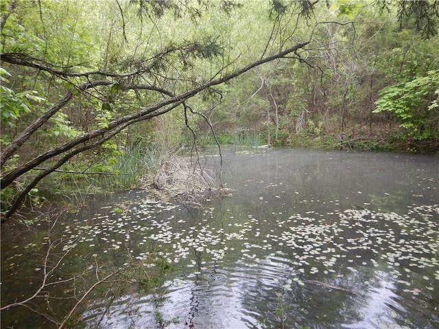 TBD Madison 2707, Kingston, AR 72742 - photo 54