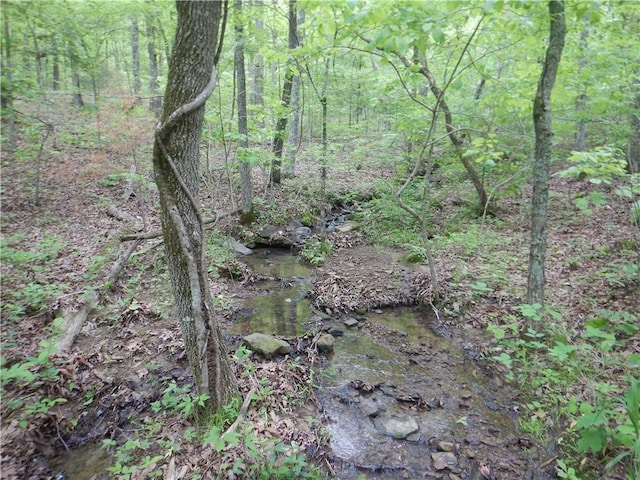 TBD Madison 2707, Kingston, AR 72742 - photo 55