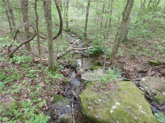 TBD Madison 2707, Kingston, AR 72742 - photo 56