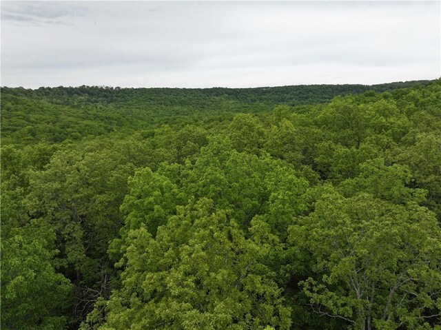 TBD Madison 2707, Kingston, AR 72742 - photo 40