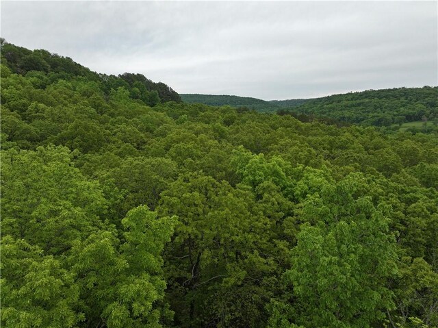TBD Madison 2707, Kingston, AR 72742 - photo 19
