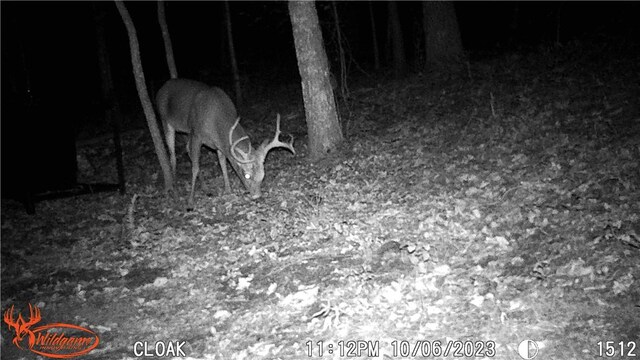 TBD Madison 2707, Kingston, AR 72742 - photo 34