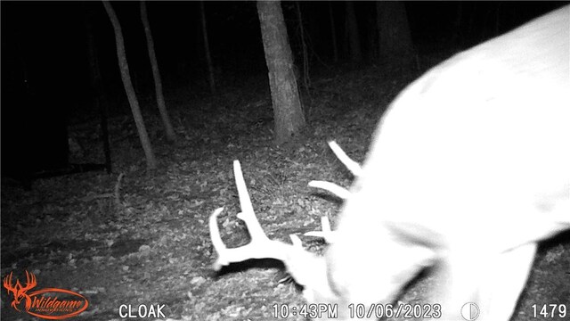TBD Madison 2707, Kingston, AR 72742 - photo 35