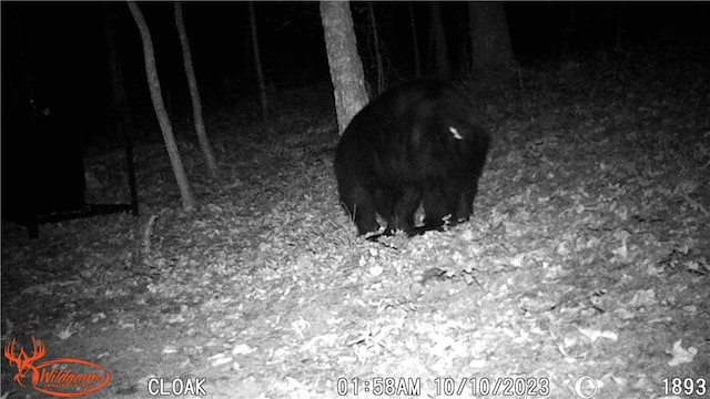 TBD Madison 2707, Kingston, AR 72742 - photo 38