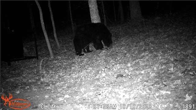 TBD Madison 2707, Kingston, AR 72742 - photo 39