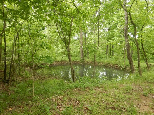 TBD Madison 2707, Kingston, AR 72742 - photo 22