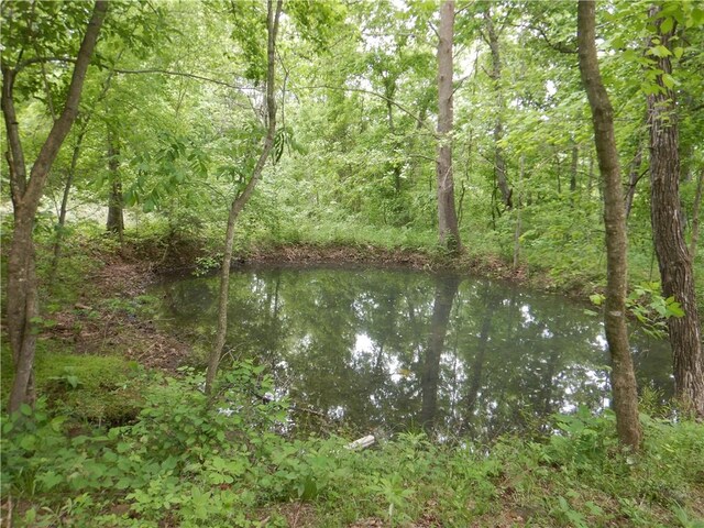 TBD Madison 2707, Kingston, AR 72742 - photo 23