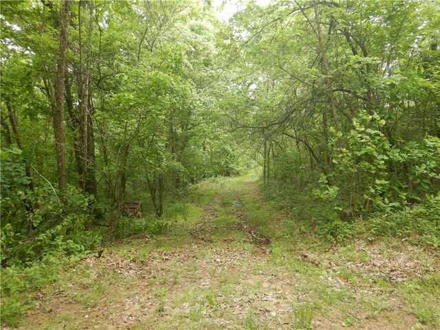TBD Madison 2707, Kingston, AR 72742 - photo 43