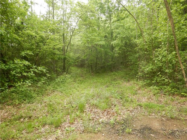TBD Madison 2707, Kingston, AR 72742 - photo 44
