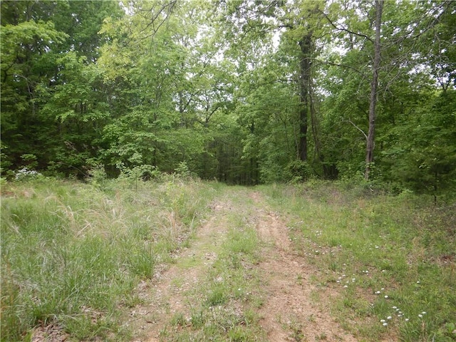 TBD Madison 2707, Kingston, AR 72742 - photo 45
