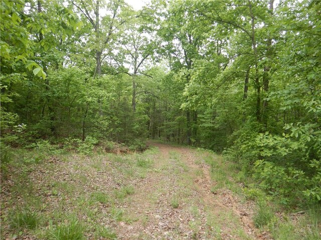 TBD Madison 2707, Kingston, AR 72742 - photo 46