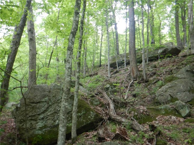 TBD Madison 2707, Kingston, AR 72742 - photo 32