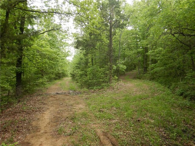 TBD Madison 2707, Kingston, AR 72742 - photo 42