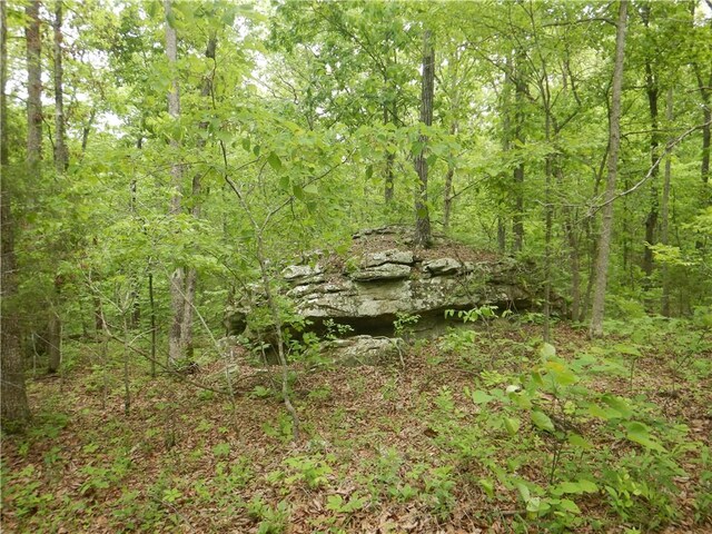 TBD Madison 2707, Kingston, AR 72742 - photo 16