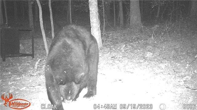 TBD Madison 2707, Kingston, AR 72742 - photo 18