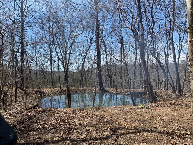 TBD Madison 2707, Kingston, AR 72742 - photo 30