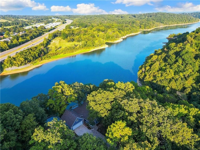 18322 Oakridge Rd, Springdale, AR 72764 - bird's eye view of a forest and a large body of water
