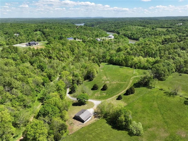 14210 Lake Point Dr, Lowell, AR 72745 - aerial view of property and surrounding area with a forest