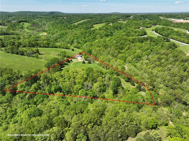 14210 Lake Point Dr, Lowell, AR 72745 - view of property location with a heavily wooded area and property parcel outlined