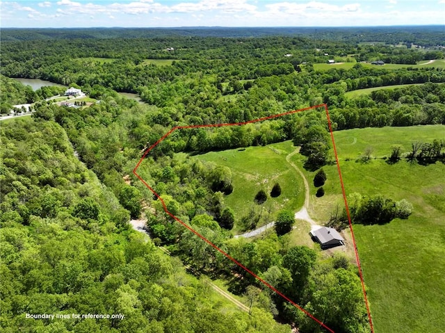 14210 Lake Point Dr, Lowell, AR 72745 - aerial view of property's location featuring a forest and property parcel outlined