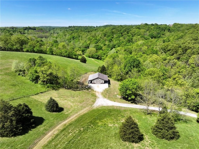 14210 Lake Point Dr, Lowell, AR 72745 - view from above of property with a forest