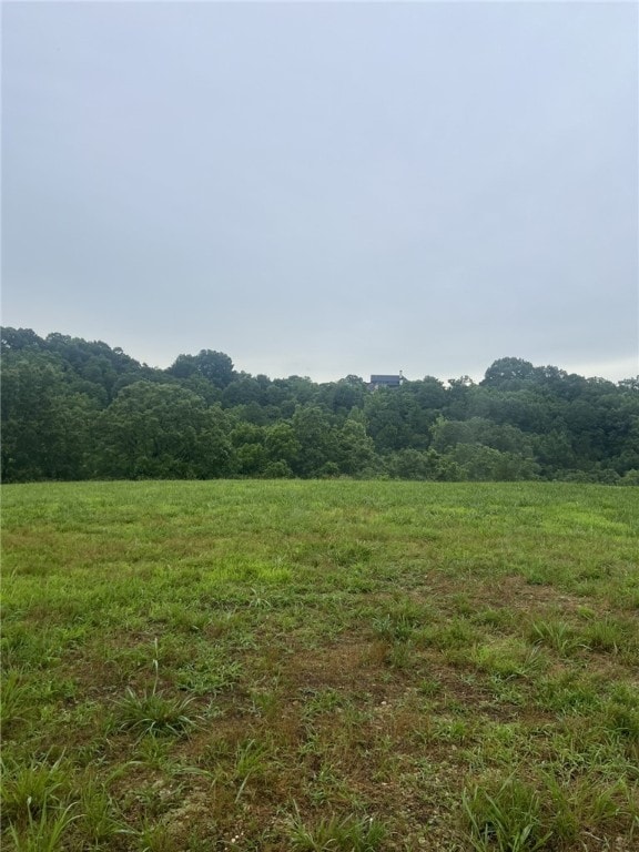 14210 Lake Point Dr, Lowell, AR 72745 - view of tree filled area with a rural view