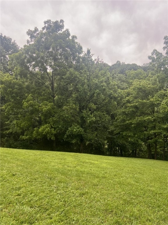 14210 Lake Point Dr, Lowell, AR 72745 - view of grassy yard featuring a forest view