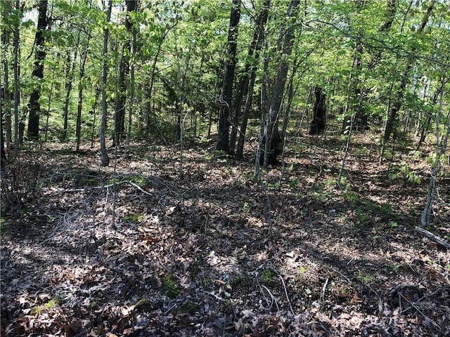 LOT10 Grampian Ln, Bella Vista, AR 72715
