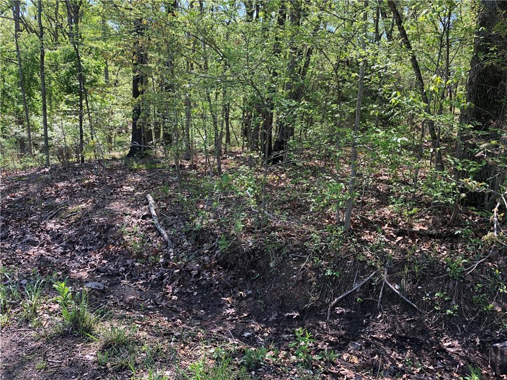 LOT10 Grampian Ln, Bella Vista, AR 72715
