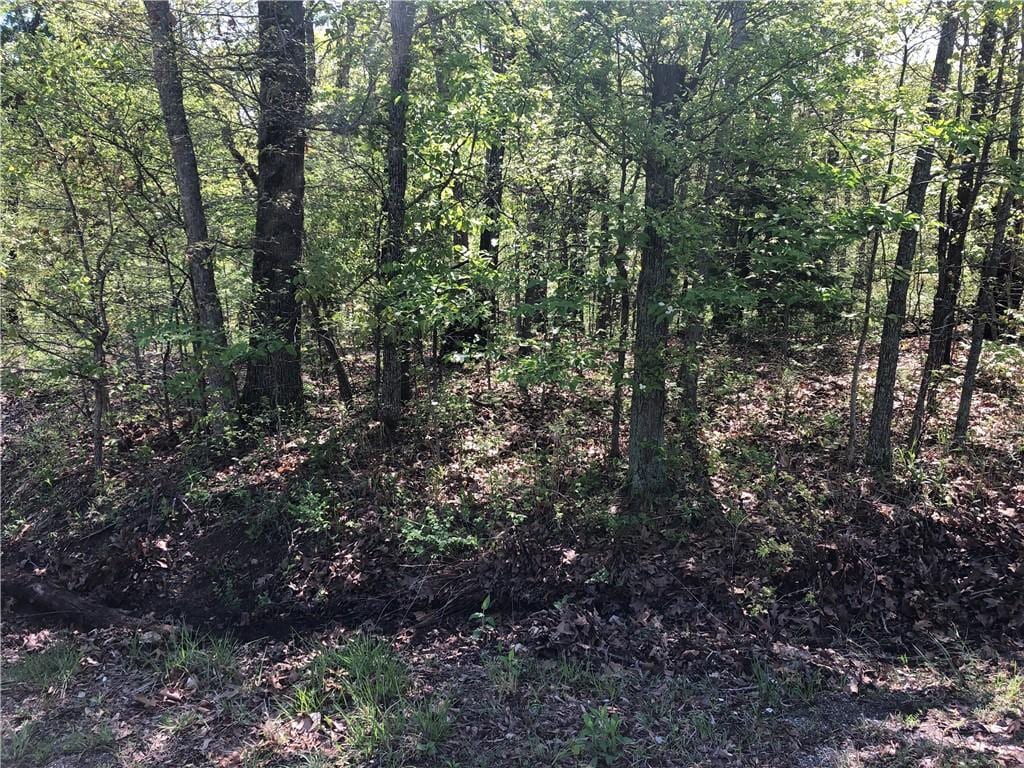 LOT10 Grampian Ln, Bella Vista, AR 72715
