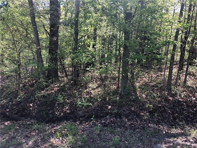 LOT10 Grampian Ln, Bella Vista, AR 72715