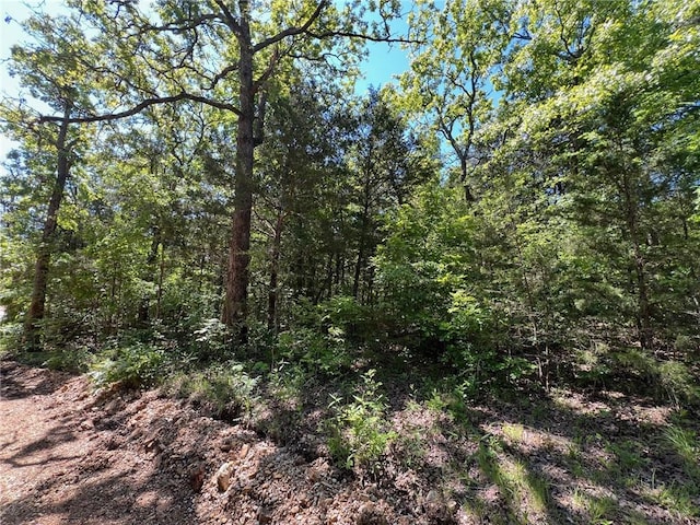 TBD Bald Knob Rd, Lead Hill, AR 72644