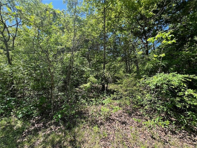 TBD Bald Knob Rd, Lead Hill, AR 72644