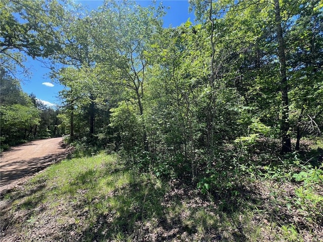 TBD Bald Knob Rd, Lead Hill, AR 72644