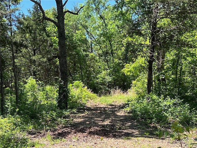 TBD Bald Knob Rd, Lead Hill, AR 72644