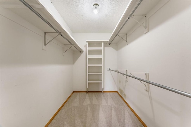 12 Luncarty Ln, Bella Vista, AR 72715 - walk in closet with light carpet