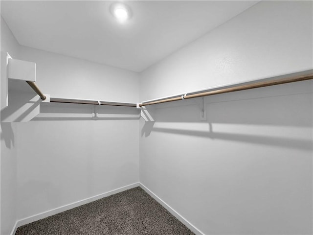 1550 Ridgeview Dr, Springdale, AR 72762 - photo 22