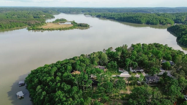 16180 Black Oak Ln, Rogers, AR 72756 - aerial view of property's location with a heavily wooded area and a large body of water
